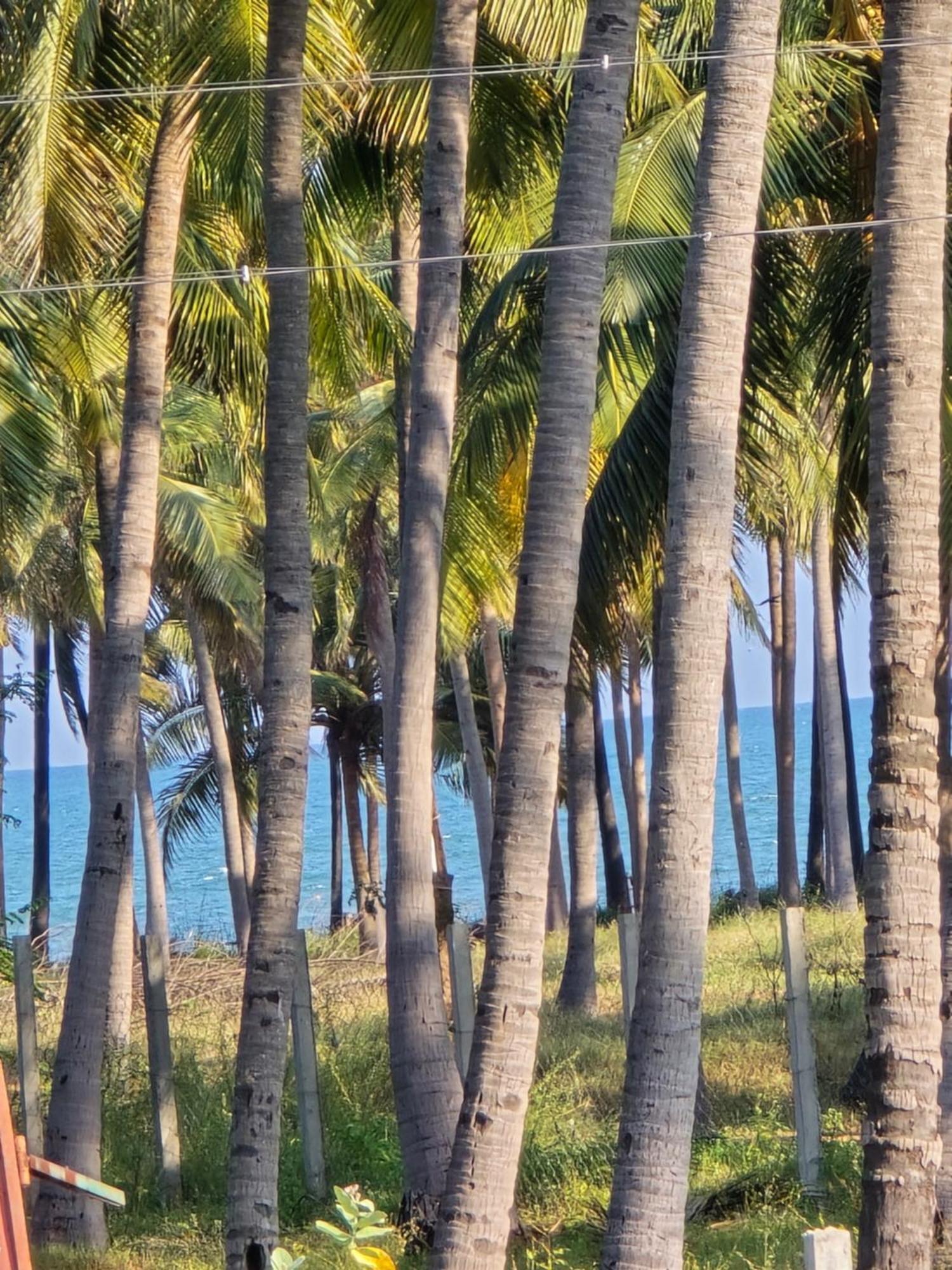 De Lumaa Beachside Stay ปอนดิเชอรี ภายนอก รูปภาพ